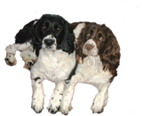 Jezzie & Bruti Jezzie & Bruti