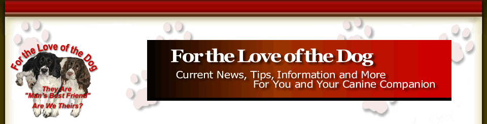 For the Love of the Dog Header